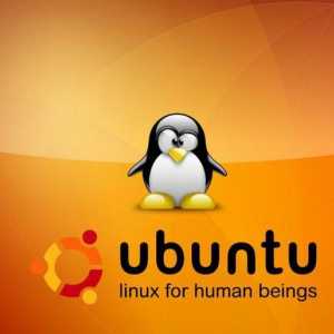 Версии на Ubuntu: общ преглед, функции, типове и отзиви. Как да разбера версията на Ubuntu?