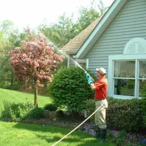 Пролетно третиране на градината от болести и вредители. Обработка на дървета срещу вредители през…