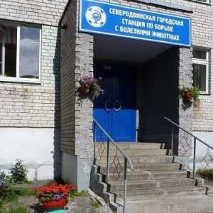 Ветеринарна клиника (Severodvinsk): описание, адрес