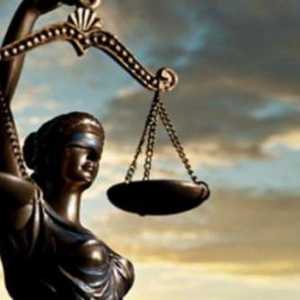 Видове санкции в наказателното право: концепцията, примерите за принципи.