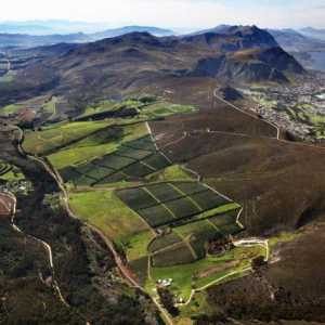 Вина от Южна Африка: рецензии