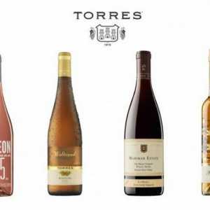 Вината "Торес" (Торес). Испански вина: имена, рецензии
