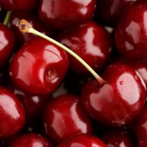 Вкусна Череша Cherry Cherry: Описание на сорта