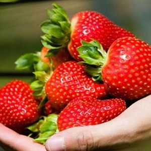 Вкусно и полезно: какви витамини се съдържат в ягодите