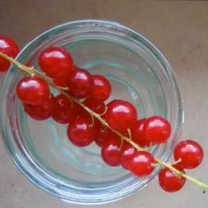 Вкусна домашно консервиране: конфитюр от червено френско грозде "Pyatiminutka"
