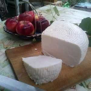 Вкусни и питателни салати със сирене Adyghe