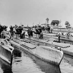 "Вълците на Дениз" и подводници на Третия райх