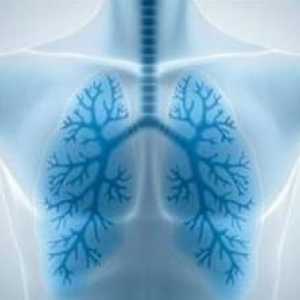 Възпаление на белите дробове: симптоми (без температура). Какви са симптомите на пневмония?