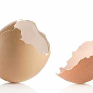 Увреждане и полза от обвивката на яйцата. Използване на яйчна черупка