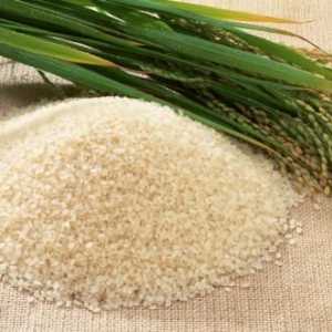 Вреди и полза от ориз - какво повече?