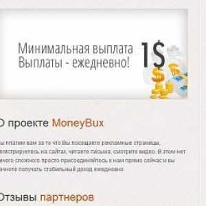 Всичко за сайта Moneybux: рецензии, характеристики, принцип на работа