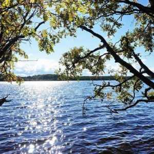 Всичко за езерото Goloredayskoye (район Ленинград): изберете място за риболов и отдих
