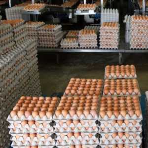 Световният ден за яйца е малко необичаен празник, но много интересен