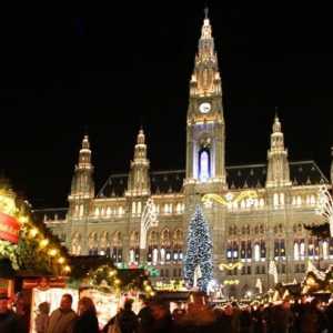 Запознайте се с Новата година във Виена