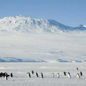 Вулканите на Антарктида - неразкрити тайни