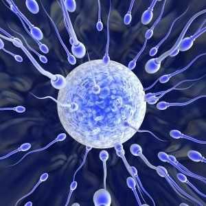 Знаете ли колко са живи сперматозоиди?