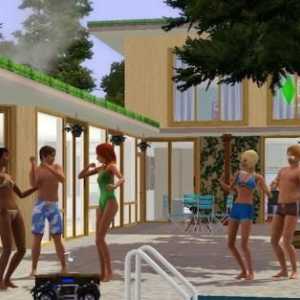 "The Sims 3" излита - какво да правя? Защо "Syms 3" летят?