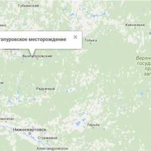 Vyngapurovskoye област: къде е и какви запаси?