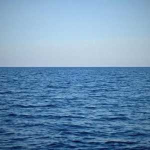 Израза "Морето е коляно": смисъла на фразеологията
