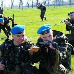 Силно мобилни кацащи войски (въздушни войски) на Украйна
