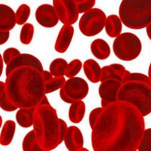 Кръвни заболявания: списък на най-опасните