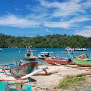 Java Island Riddle: Интересна и полезна информация за туристите