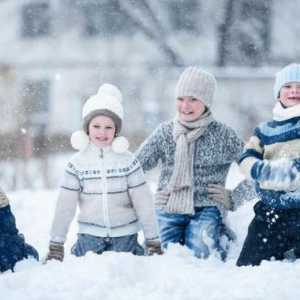 Мистерии за зимата с отговори за деца