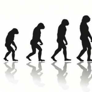 Закони и правила на еволюцията. Еволюционен процес