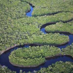 Замбези (реката в Африка), откъде произхожда и къде тече? Замбези: източник, дължина,…