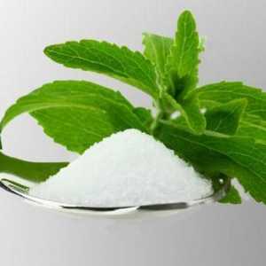 Заместител на захарта Stevia. Естествени подсладители