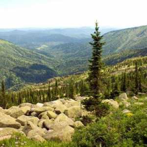 Резерват Тигирек: защитени природни територии на територията Алтай