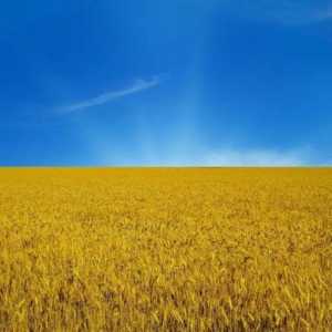 Жълто-синьото знаме на Украйна, историята и съдбата му