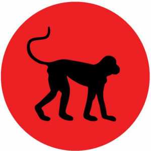Жена маймуна-Близнаци: каква е нейната природа?