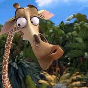 Жираф от Мадагаскар: характер, външен вид, навици