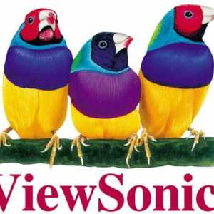 ViewSonic LCD монитори: функции и обратна връзка