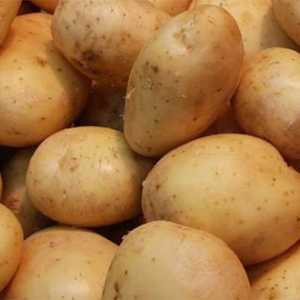 "Жуковски" (ранен картоф): отзиви. Картофи семена "zhukovsky"