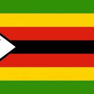 Зимбабве: знамето на страната