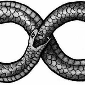 Змията е символ на какво? Положителни и отрицателни стойности на изображението