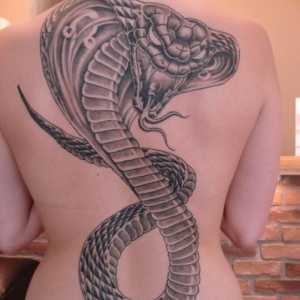 Стойности на татуировките: змии и техните символи