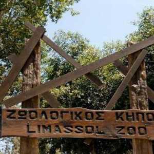 Зоологическа градина в Лимасол: описание на това как да стигнете до него, характеристики, начин на…